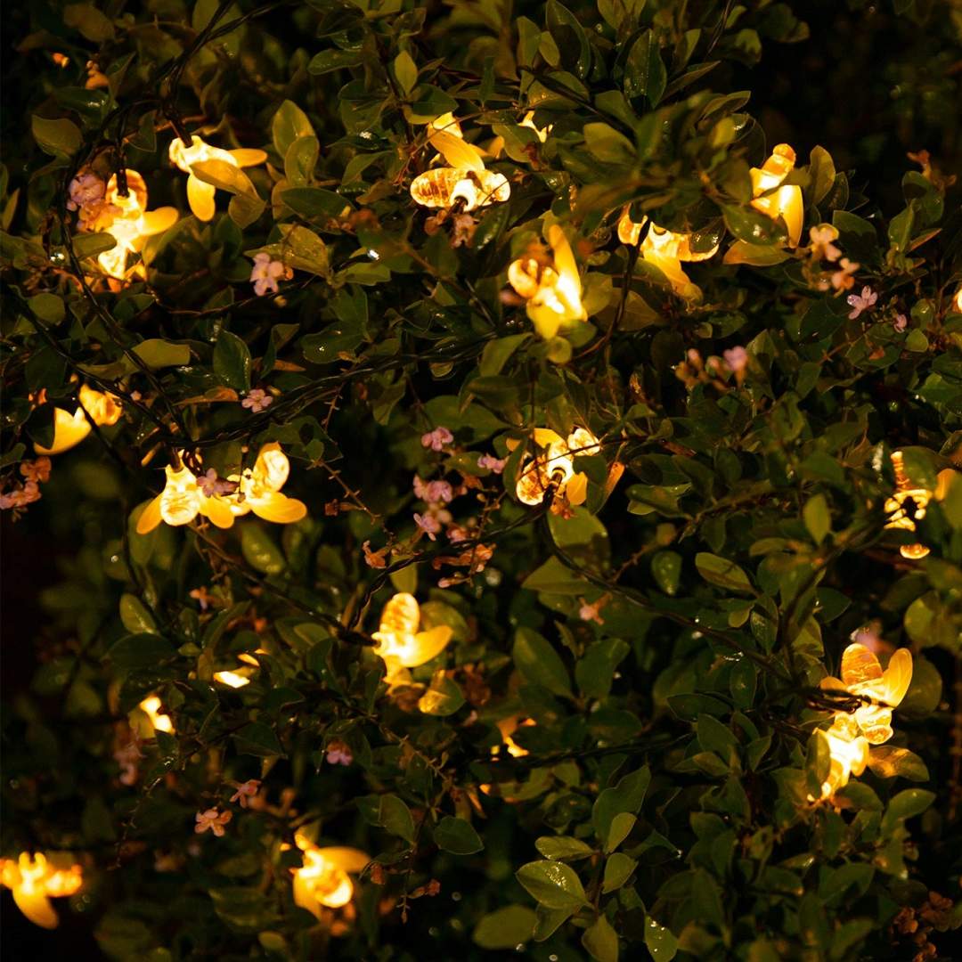 🌞 Luces Solares Abejitas™ – Magia para tu jardín 🐝