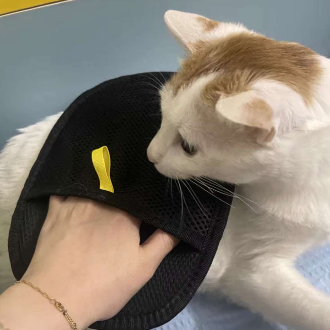 PetPal™ – Guante Limpiador de Pelo (2 x 1) 🐶🐱